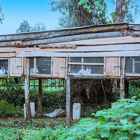 Karisimbi Cave Resort Ruhengeri Dış mekan fotoğraf