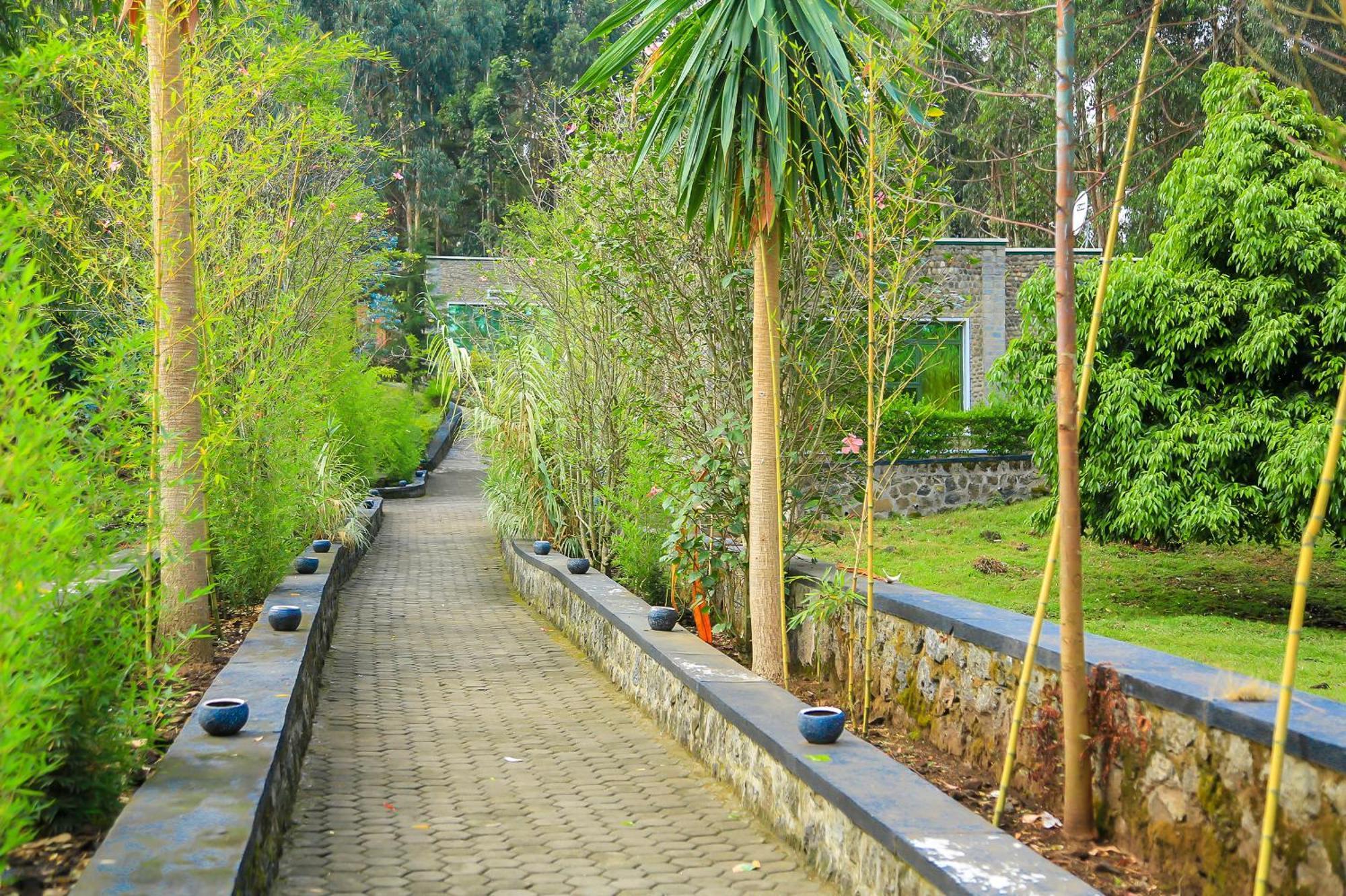 Karisimbi Cave Resort Ruhengeri Dış mekan fotoğraf